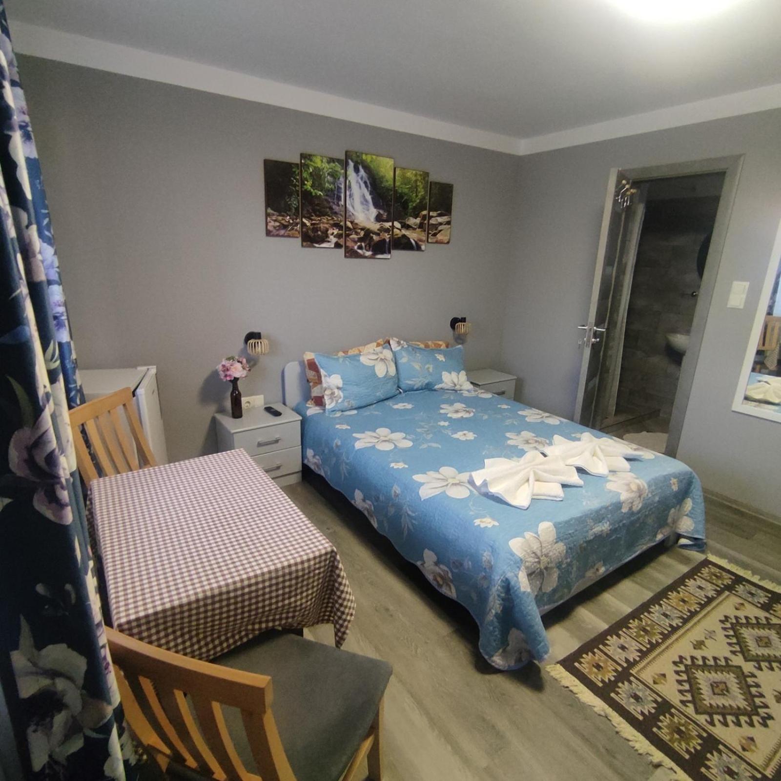 Kovacs Guesthouse 普拉伊德 外观 照片