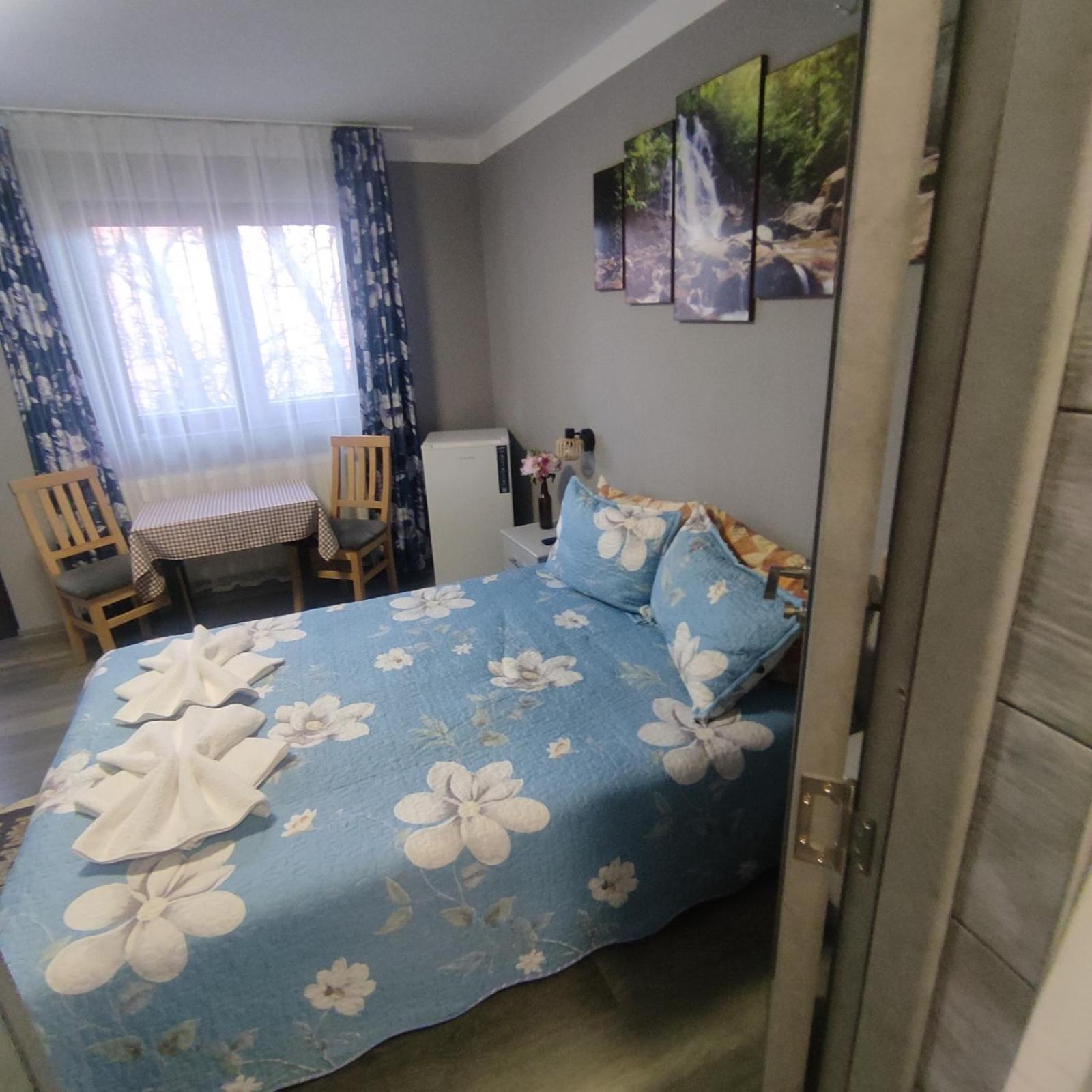 Kovacs Guesthouse 普拉伊德 外观 照片