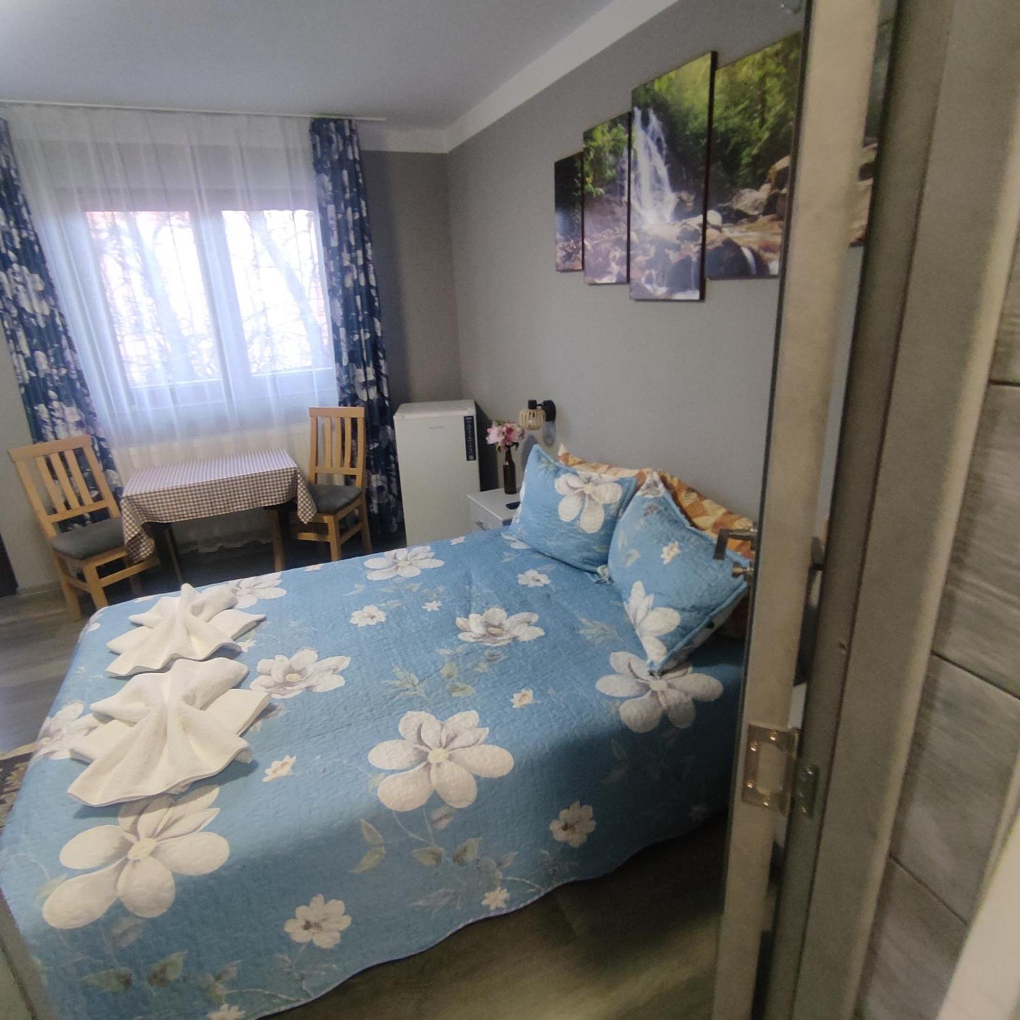 Kovacs Guesthouse 普拉伊德 外观 照片