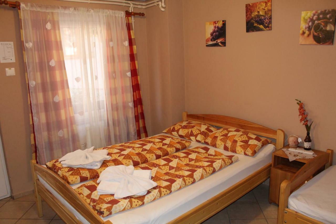 Kovacs Guesthouse 普拉伊德 外观 照片